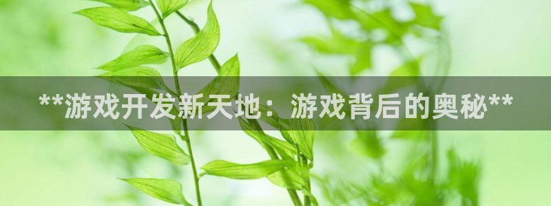 沐鸣2注册开户