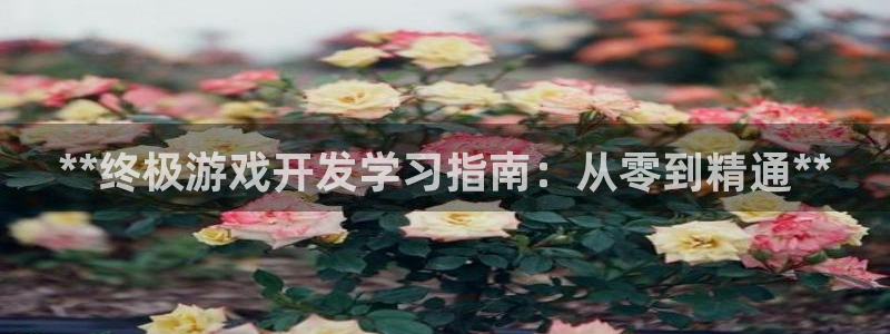 沐鸣娱乐2登录平台是什么