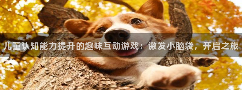 沐鸣娱乐2输钱了