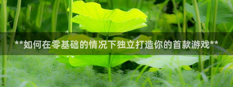 沐鸣2平台代理