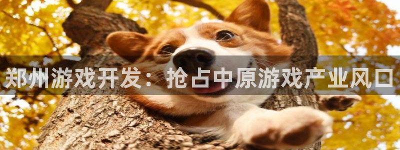 沐鸣娱乐2怎么样