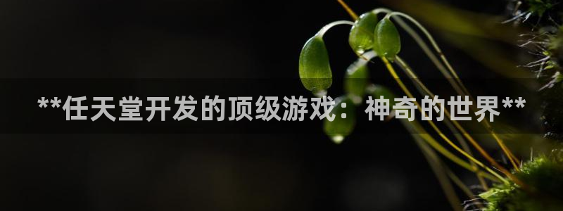 沐鸣2平台代理