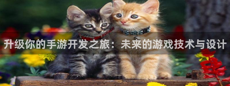 沐鸣2官方注册：升级你的手游开发之旅：未来的游戏技术与设计