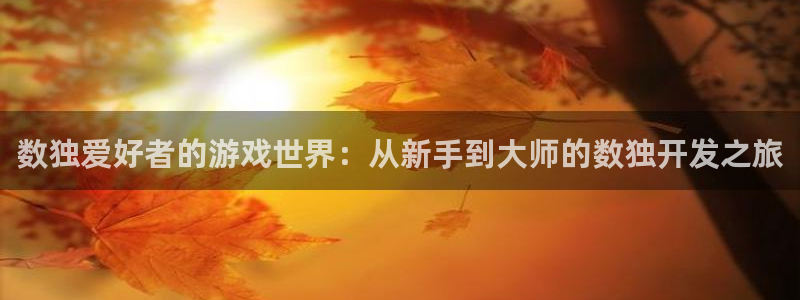 沐鸣2注册流程：数独爱好者的游戏世界：从新手到大师的数独开发之旅