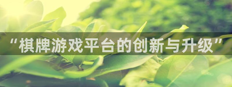 沐鸣2娱乐注册登录平台：“棋牌游戏平台的创新与升级”