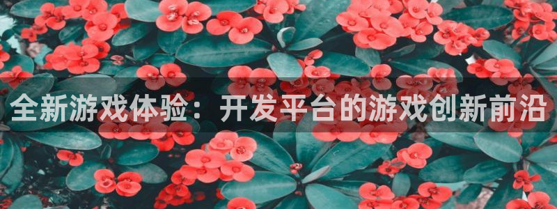 沐鸣娱乐2测速：全新游戏体验：开发平台的游戏创新前沿