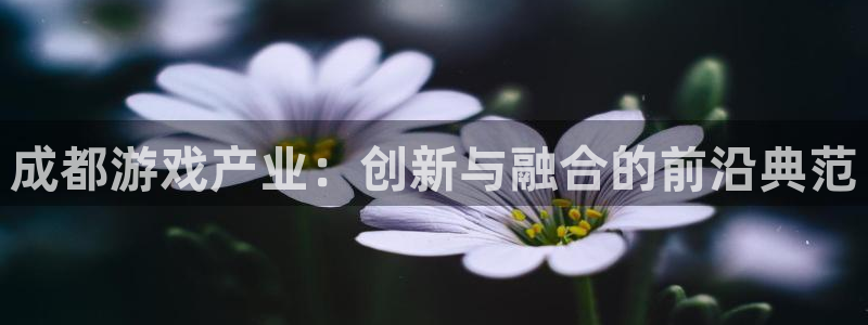 沐鸣2注册流程：成都游戏产业：创新与融合的前沿典范