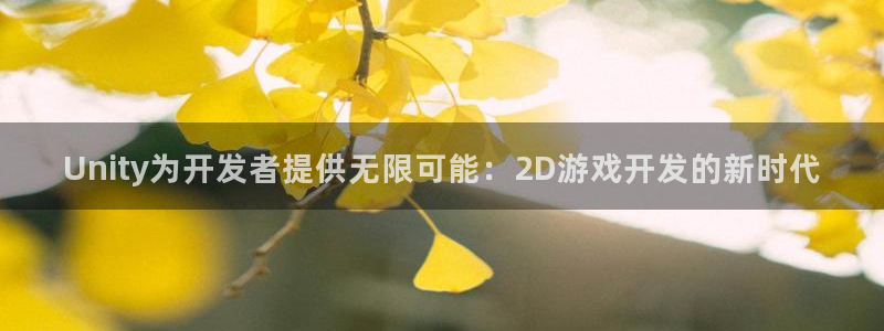沐鸣2联盟：Unity为开发者提供无限可能：2D游戏开发的新时代