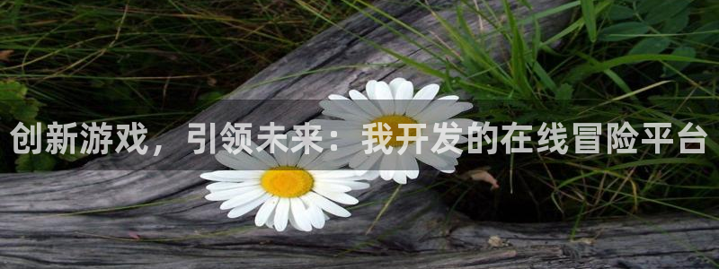 沐鸣2注册首页：创新游戏，引领未来：我开发的在线冒险平台