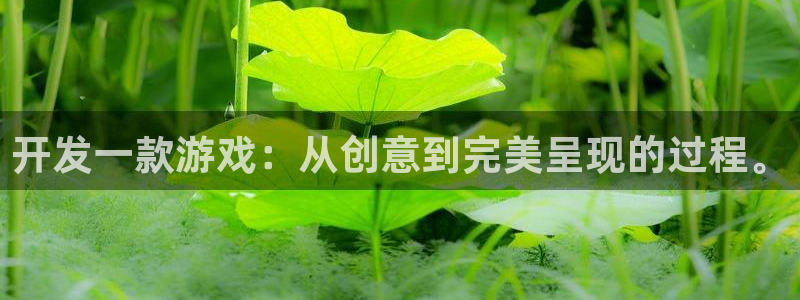 沐鸣2娱乐注册平台：开发一款游戏：从创意到完美呈现的过程。