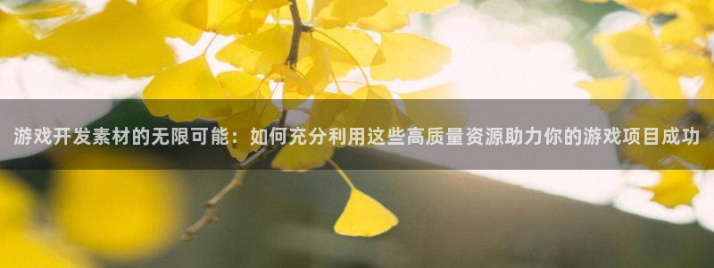 沐鸣娱乐2如何找回密码：游戏开发素材的无限可能：如何充分利用这些高质量资源助力你的游戏项目成功