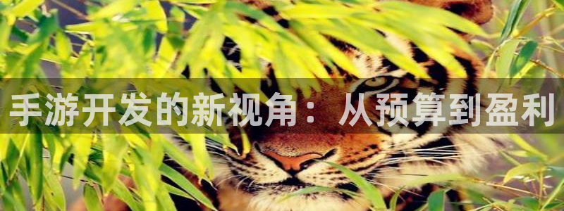 沐鸣2注册33300tg：手游开发的新视角：从预算到盈利