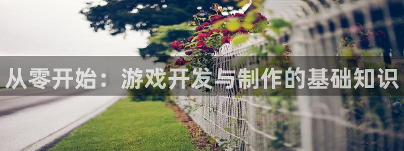 沐鸣2注册流程：从零开始：游戏开发与制作的基础知识