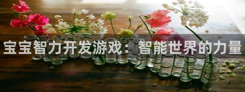沐鸣2注册连接：宝宝智力开发游戏：智能世界的力量