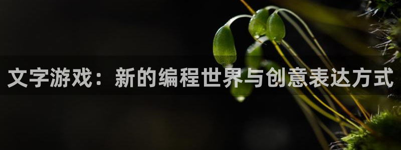 沐鸣娱乐2官网网址是多少：文字游戏：新的编程世界与创意表达方式