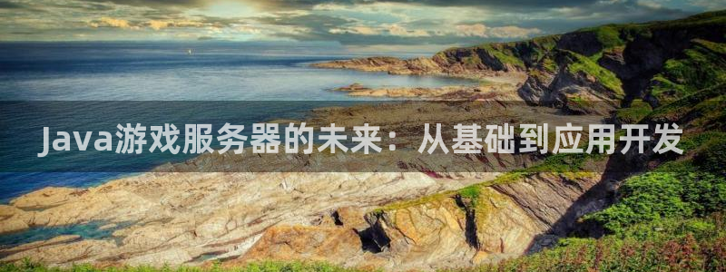 沐鸣2代理官网：Java游戏服务器的未来：从基础到应用开发