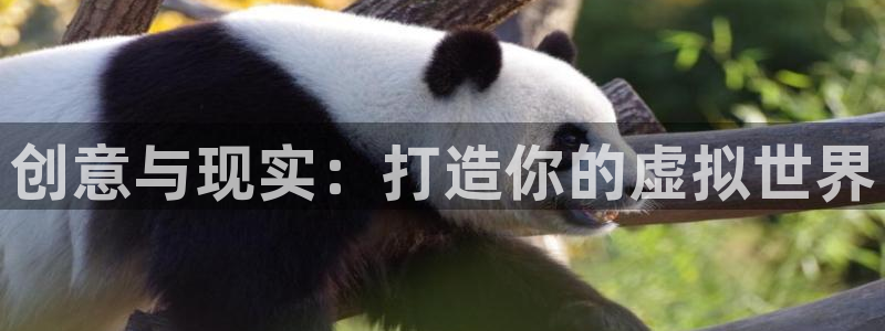 沐鸣娱乐2不能注册：创意与现实：打造你的虚拟世界