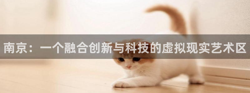 沐鸣娱乐2上来77542：南京：一个融合创新与科技的虚拟现实艺术区