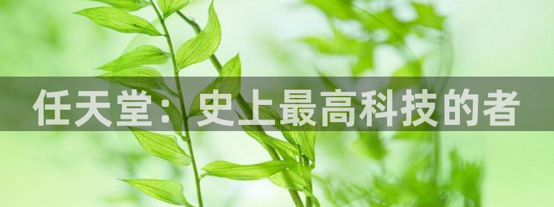 沐鸣代理22927：任天堂：史上最高科技的者