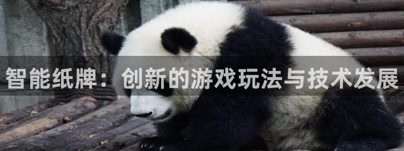 沐鸣2注册丘27337：智能纸牌：创新的游戏玩法与技术发展