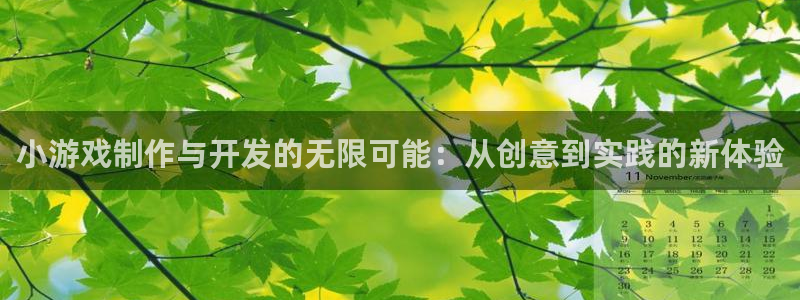 沐鸣娱乐2怎么登录账号：小游戏制作与开发的无限可能：从创意到实践的新体验
