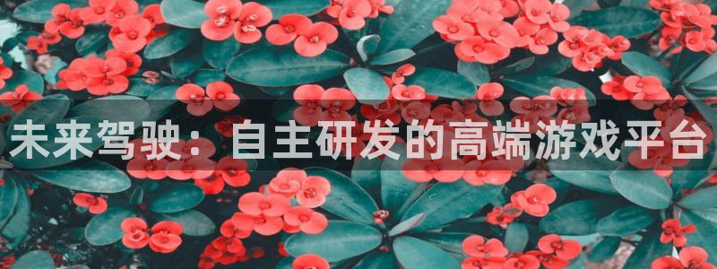 沐鸣2挂机注册：未来驾驶：自主研发的高端游戏平台