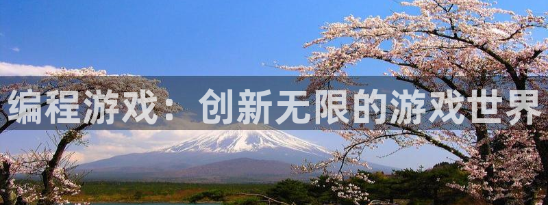 沐鸣2平台测速登录：编程游戏：创新无限的游戏世界
